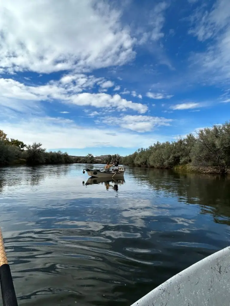 Thermopolis Bighorn Fly Fishing Fishing Report
