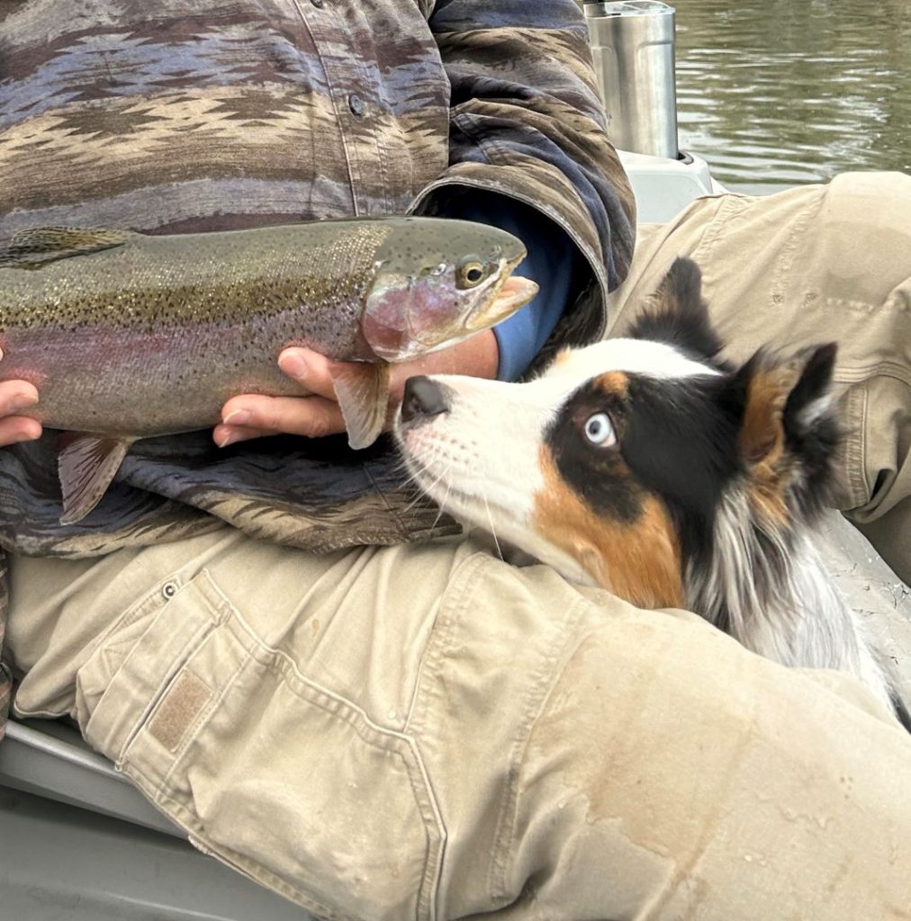 Bighorn River Thermopolis Wyoming