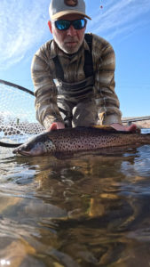 Photo of John releasing a big brown trout on the Bighorn River in Wyoming.