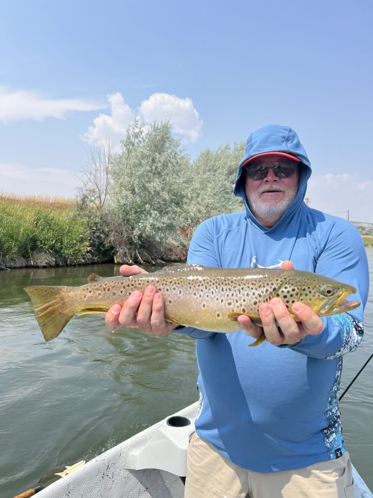 Nice Brown on the Bighorn