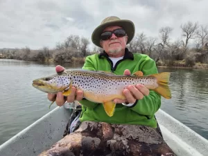 Brown Trout on the Bighorn River, Thermopolis, Wyoming